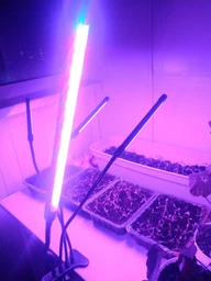 Светодиодная Фитолампа GrowLight для Выращивания Комнатных на 4 ветки Растение Full Spectrum (OJ146IU) фото от покупателей 4