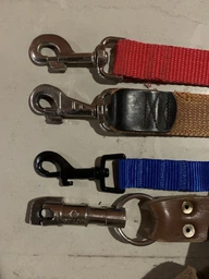 Повідець для Собак Bronzedog Active Нейлоновий з М'якою Ручкою Салатовий 25 мм 900 см (25305)