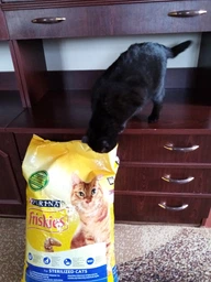 Сухой корм для кошек Purina Friskies Sterile с лососем и овощами 1.5 кг (7613033002458) фото от покупателей 18