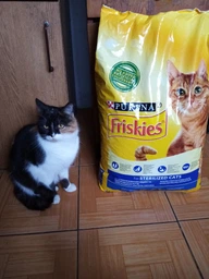 Сухой корм для кошек Purina Friskies Sterile с лососем и овощами 1.5 кг (7613033002458) фото от покупателей 19