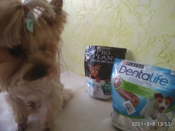 Упаковка лакомства для взрослых собак малых пород DentaLife Small для поддержания здоровья полости рта 115 г х 6 шт (8445291614567) фото от покупателей 11