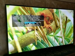 Телевізор Kivi 55U600KD фото від покупців 5