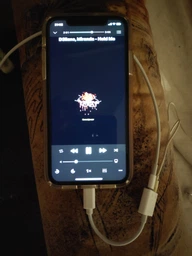 Перехідник Lightning - 3.5 mm перехідник для iPhone на AUX 3.5 mm і навушники адаптер на iPad для навушників AUX кабель перехідник 3.5 PAVLYSH (PA-44) фото від покупців 14