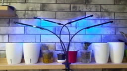 Светодиодная Фитолампа GrowLight для Выращивания Комнатных на 4 ветки Растение Full Spectrum (OJ146IU)