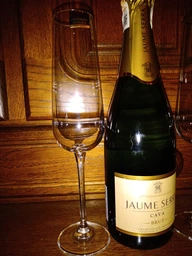 Вино ігристе Cava Jaume Serra Brut J.Garcia Carrion біле брют 0.75 л 11% + 2 келихи (2129908299083_1021000010300) фото від покупців 7