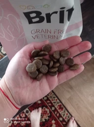 Корм сухий Brit Grain Free VetDiet Dog Hypoallergenic для собак з харчовою алергією з лососем горохом і гречкою 12 кг 8595602528035 фото от покупателей 4