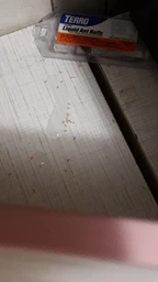 Средство от муравьев Terro T300B Liquid Ant Killer. Станция приманка. Терро от муравьев. Уничтожает колонию. фото от покупателей 5
