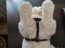 Шлея Collar одинарная для мелких собак (ширина 14 мм, А:40-48 см, В:43-51 см) Коричневая (06346Collar) фото от покупателей 3