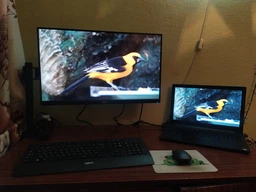 Монитор 27" Acer Nitro VG270UPbmiipx (UM.HV0EE.P01) - 8-Bit - 99% sRGB фото от покупателей 2