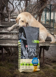 Сухой корм для собак Purina Pro Plan Dog Large Puppy Robust с курицей и рисом 12 кг (7613035120341) фото от покупателей 6