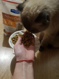Сухий корм для котів Hill's Prescription Diet k/d підтримання функції нирок з куркою 3 кг (052742043760) фото від покупців 1