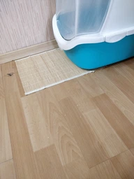 Наполнитель для кошачьего туалета Van Cat Super Premium Quality Orange Бентонитовый комкующий 5 кг (6 л) (8699245857382/8699245856071) фото от покупателей 11