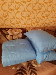 Набор антиаллергенный MirSon EcoSilk Супер Теплый №1662 Eco Light Blue (одеяло + подушки 50х70 среднии) (2200002654975) фото от покупателей 5