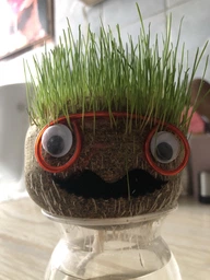 Набор для выращивания Grow Grass man Травянчик (UFTGG) фото от покупателей 10