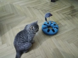 Іграшка для котів Trixie Трек ігровий з мишкою «Crazy Circle» d:24 см, h:29 см