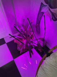 Светодиодная Фитолампа GrowLight для Выращивания Комнатных на 4 ветки Растение Full Spectrum (OJ146IU)