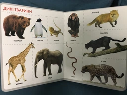 Слова. Моя перша книжка (9789664628614) фото від покупців 7