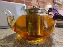 Чайник для заварювання Ardesto Gemini Teapot AR1910GM скляний 1л