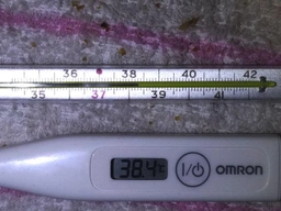 Термометр OMRON Eco Temp Basic (MC-246-E) фото від покупців 10