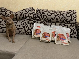 Сухий корм для собак малих порід Purina One Mini 1,5 кг (яловичина та рис) фото от покупателей 18