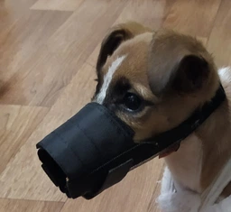 Намордник нейлоновый регулируемый Collar DOGextreme с сеткой 1 (йоркширский терьер, пудель, кокер-спаниель, шпиц) (4320)