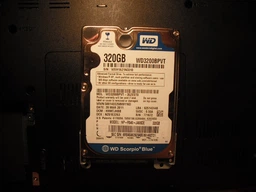 Жесткий диск WD Scorpio Blue WD5000BPVT