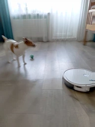 Робот пилосос Ecovacs Deebot U2 фото від покупців 2