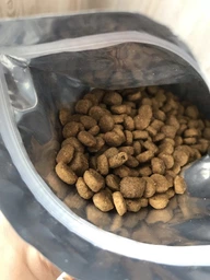 Сухий корм Purina One Mini/Small Active для дорослих собак дрібних порід з підвищеною активністю з куркою та рисом 1.5 кг (8445290348265) фото от покупателей 16