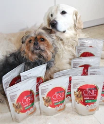 Сухий корм Purina One Mini/Small Active для дорослих собак дрібних порід з підвищеною активністю з куркою та рисом 1.5 кг (8445290348265) фото от покупателей 13
