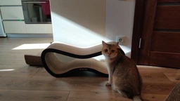 Когтеточка из картона усиленного с деревянным фасадом Cat Joy Fusion Beige 77x29x29 см фото от покупателей 16