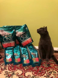 Вологий корм PURINA ONE Sterilcat для стерилізованих кішок з індичкою та зеленою квасолею 48шт*85г фото від покупців 6