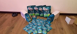 Вологий корм Purina One Indoor Formula для котів, тунець і зелена квасоля в соусі 85г.(7613038255903) фото від покупців 10