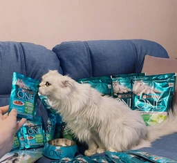 Вологий корм Purina One Indoor Formula для котів, тунець і зелена квасоля в соусі 85г.(7613038255903) фото від покупців 4