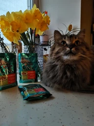 Вологий корм PURINA ONE Sterilcat для стерилізованих кішок з індичкою та зеленою квасолею 48шт*85г фото від покупців 4