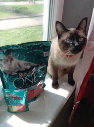 Вологий корм PURINA ONE Sterilcat для стерилізованих кішок з індичкою та зеленою квасолею 48шт*85г фото від покупців 3