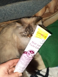 Паста Для кошек Gimborn GimCat Malt-Soft Экстра для выведения шерсти 200 г (4002064417127 / 4002064417943) фото от покупателей 13