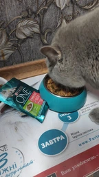 Вологий корм PURINA ONE Sterilcat для стерилізованих кішок з індичкою та зеленою квасолею 48шт*85г фото від покупців 1