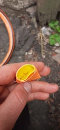 Шланг для поливу 50 метрів, діаметр 1/2" (3 шари, армований) садовий, поливальний шланг Бурштин фото від покупців 4