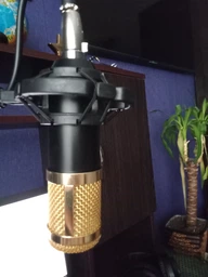 Конденсаторный микрофон ELIMA BM-800 BLACK GOLD + Звуковая карта ELIMA C-MEDIA 7.1 фото от покупателей 1