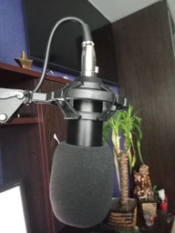 Конденсаторный микрофон ELIMA BM-800 BLACK GOLD + Звуковая карта ELIMA C-MEDIA 7.1 фото от покупателей 2