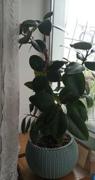 Подвесной горшок с кашпо для цветов Keter 9,4 л. Cozies M с цепочкой, фиолетовый 7290106929890 фото от покупателей 3