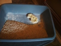Наповнювач для котячого туалету Тофу класичний без запаху Kotix Tofu 6 л фото від покупців 11