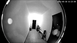 Видеоглазок wifi c датчиком движения, подсветкой и записью HQCam 405B, 2 Мп, серебристый (100603)