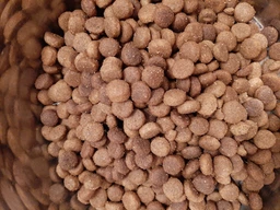 Корм сухий Savory Medium Breed Rich in Fresh Turkey та Lamb для дорослих собак середніх порід від 10 до 25 кг зі свіжим ягням 12кг фото від покупців 16