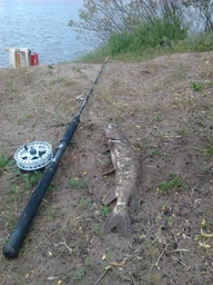 Спиннинг лодочный River Sports Fishing Lipari Boat 1.98m 40 lbs фото от покупателей 2