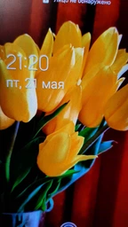 Гідрогелева плівка ArmorStandart конфіденційна для Samsung Galaxy S20 Plus (ARM58853) фото від покупців 2