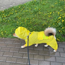 Дождевик для собак Hoopet City 4XL Салатовый