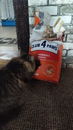 Сухий корм для котів з куркою Club 4 Paws Клуб 4 Лапи для виведення шерсті 2 кг (4820215369428) фото от покупателей 8