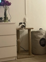 Когтеточка для кота дряпка Мур-Мяу Гламур 37х37х64 см для кошек в сизалевой веревке Светло Бежевый