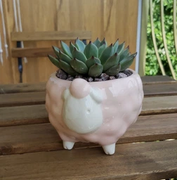 Керамічне кашпо для рослин Mini Plant Овечка тваринка м’ятна, розмір 7,5 х 8,5см фото від покупців 4